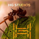 HG Studios En los caminos del exito