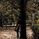 Megalothymico Harker