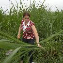 ALEXANDRA ELIZABETH BARRERA ALVAREZ