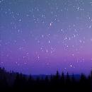 Sharon Cardozo España