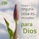 Keysaliris Noriega