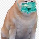 Marco André  Gonzalez Samayoa