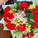 Daniela Enriquez Escobedo