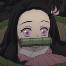 <3 Kamado Nezuko <3