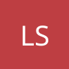 Luis David Segura Aulis