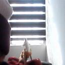 JIMENA BASURTO JIMÉNEZ