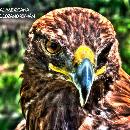 José de Jesús Servín Puga