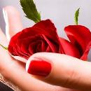 Aleyda Peralta lopez