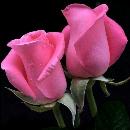 MIRYAM HUAROC ESPINOZA