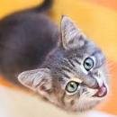 VALENTINA MAGNOLIA VASQUEZ SANCHEZ