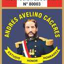 ROBERTO CARLOS ASMAT CASTRO