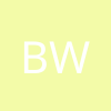 brayan andres white trujillo