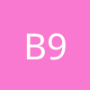 Bitrok 997