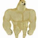 samuelandres vargasgarcia