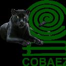 Víctor Rosales COBAEZ