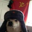 ☭DOG☭ 