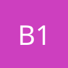 BEL 1