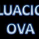 actividades ova y ovi