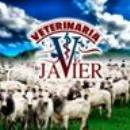 Javier Ajaye