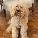 Adriana Ruiz Neumann