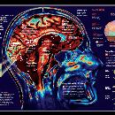 SAÚL SALOMÓN ESPARZA