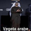 Vegeta Arabe