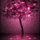 Damaris Lizzeth Farinango Guamán