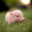 Pablo García Gonzalez