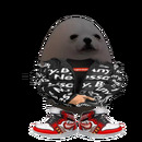 Sagaar __