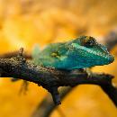 Edna Santana Bejarano