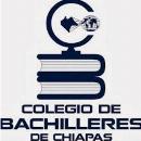 Colegio de Bachilleres de Chiapas Dirección de Tecnologías e Innovación Educativa