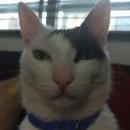 Johan Obed Bojorquez Luna
