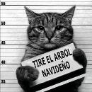 Karla Castrejon Cabral