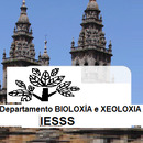 Invitado San Clemente