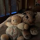 Gillen Rubio Taboada