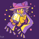niko cat