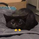 Dámaris Peñafiel González