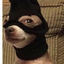 Adrián Hinojosa Márquez