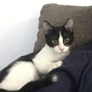 Naia Barrera  Campillo