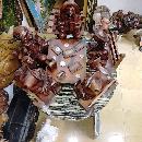 jairo luis maestre berrio