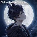 Juan Sebastián Hernández Enriquez