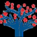 ALF Accompagnement Loisirs et Formation
