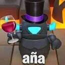 Mr. Aña