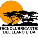 TECNOLUBRICANTES DEL LLANO SGSST