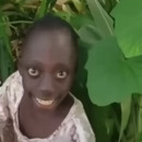 Nicotrina 