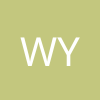 wolong ye