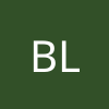 Brian Armando Lara Camilo