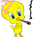 Piolin Fuma Porros .