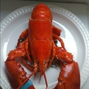 Francisco José Frigolet Ponce