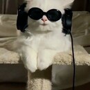 Keisya Chandra Kirana